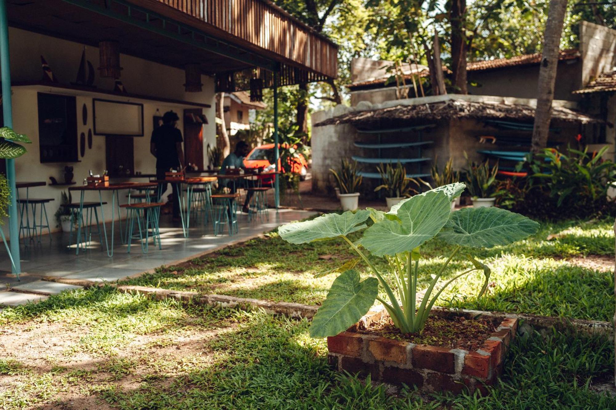 バルカラ Paddlecult Surf Retreat Bed & Breakfast エクステリア 写真