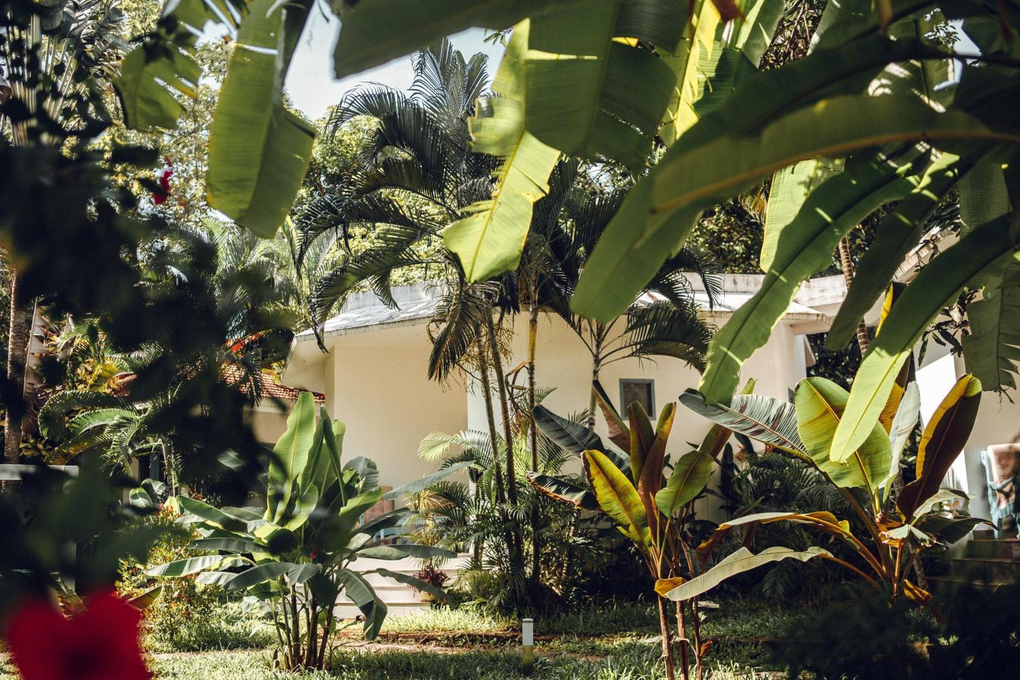 バルカラ Paddlecult Surf Retreat Bed & Breakfast エクステリア 写真