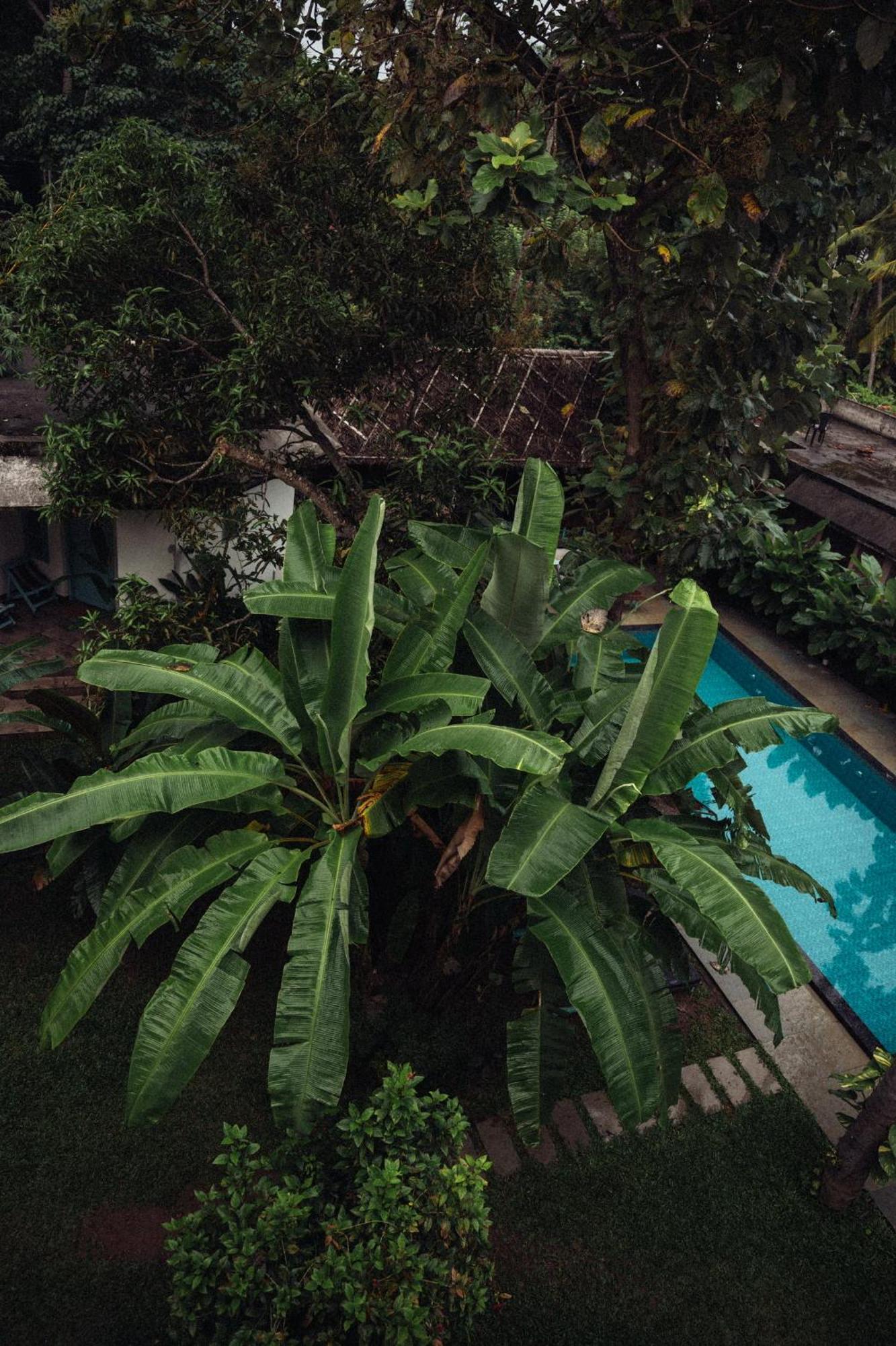バルカラ Paddlecult Surf Retreat Bed & Breakfast エクステリア 写真